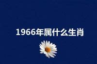 1966 年属什么|1966年属什么生肖？